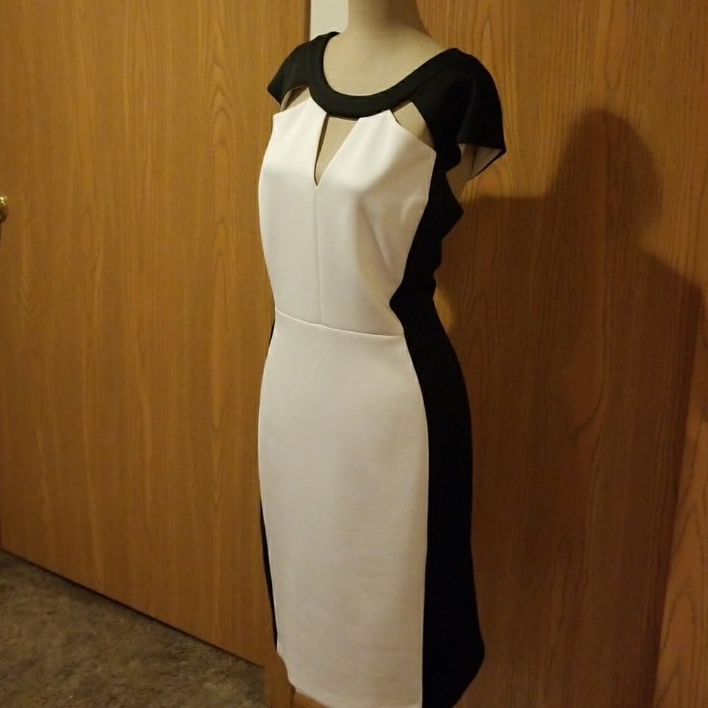 Dress - Picture 4 of 4